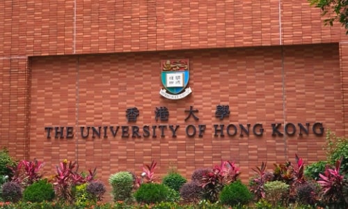 the University of Hong Kong